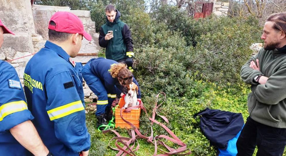 Σύρος: Επιχείρηση απεγκλωβισμού σκύλου από πηγάδι 15 μέτρων