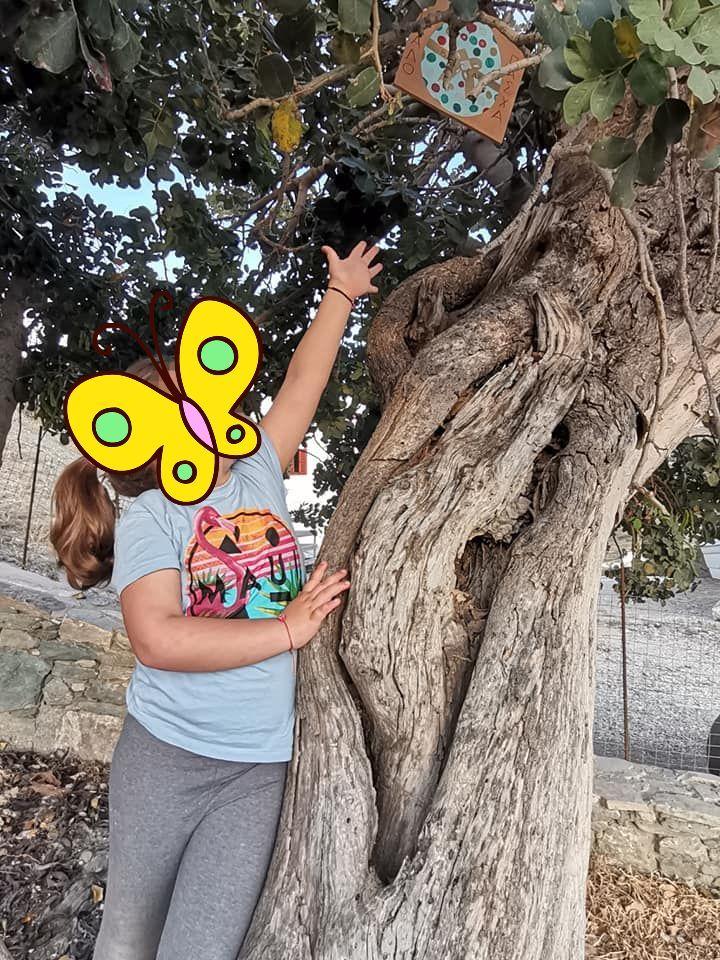 Παρατείνεται η πασχαλινή δράση του Νηπιαγωγείου Φοίνικα έως και 16 Μαΐου