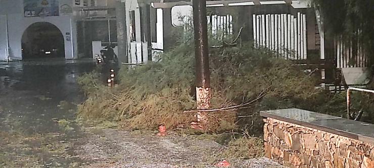 Σύρος: "Καταποντίστηκε" αλμυρίκι στον παραλιακό δρόμο Βάρης