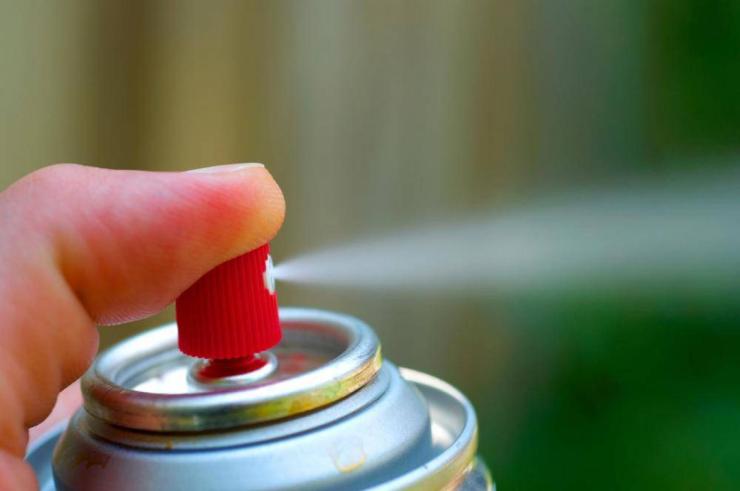 Κοριοί: Ανθεκτικοί στα εντομοκτόνα - Εξαπλώνονται σε Ελλάδα και Ευρώπη