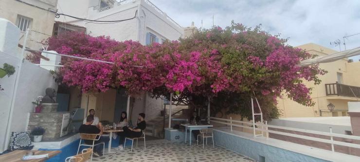  Γλίτωσε την αποκοπή της 