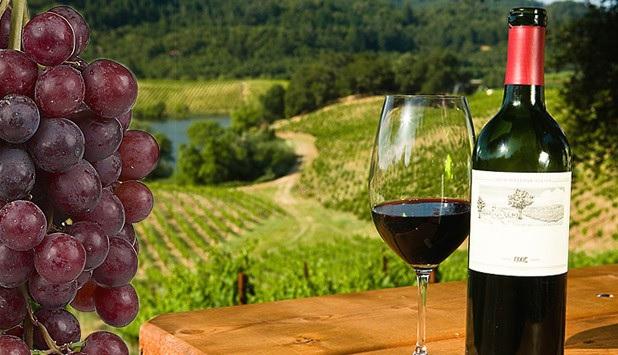 Πρόγραμμα Κατάρτισης "Οινολογία - Αμπελουργία" στη Σαντορίνη