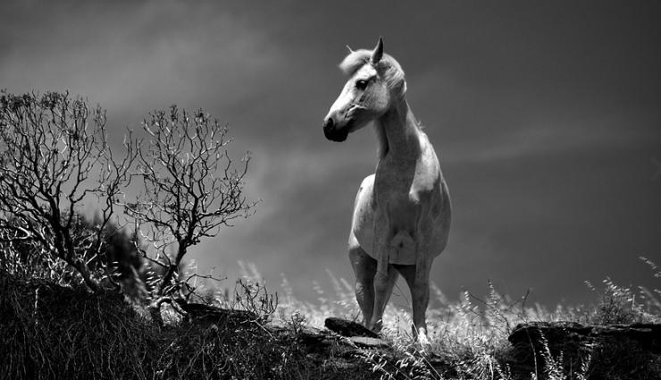 Διαδρομή Σύγχρονης Τέχνης στη Σίφνο