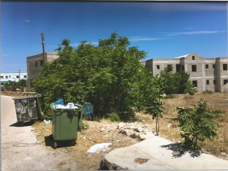 Μαζική δηλητηρίαση αδέσποτων στον Μονόλιθο Σαντορίνης