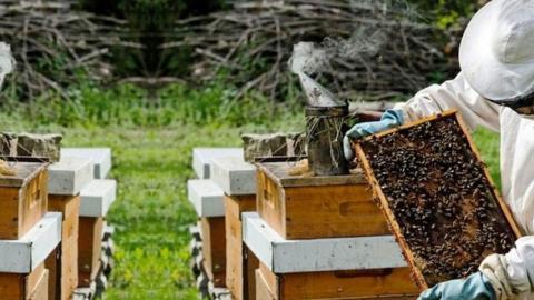 "Η Αγροτική Ανάπτυξη στα μικρά Κυκλαδονήσια"