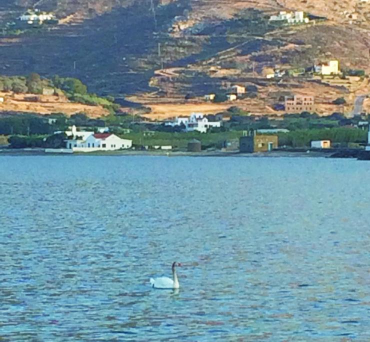 Η φωτογραφία της ημέρας