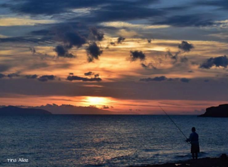 Η φωτογραφία της ημέρας
