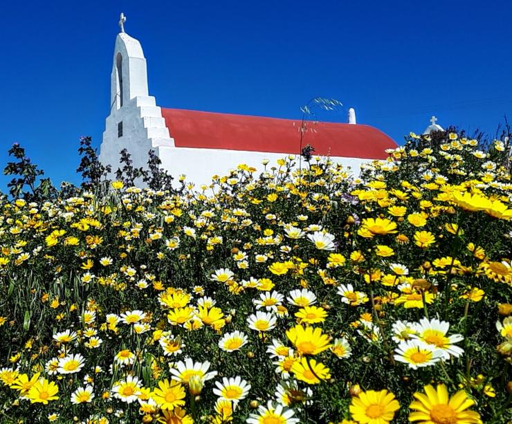 Η φωτογραφία της ημέρας