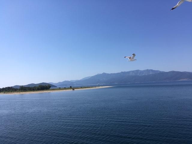 Η φωτογραφία της ημέρας