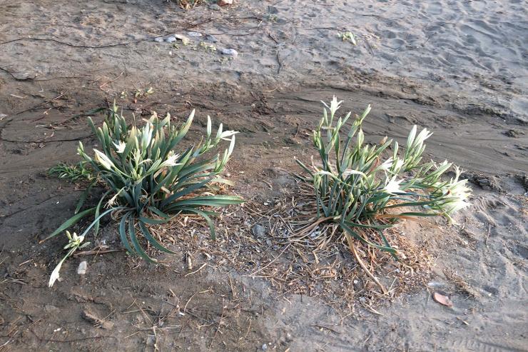 Η φωτογραφία της ημέρας