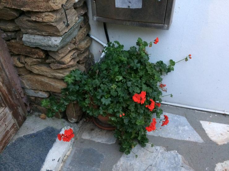 Η φωτογραφία της ημέρας