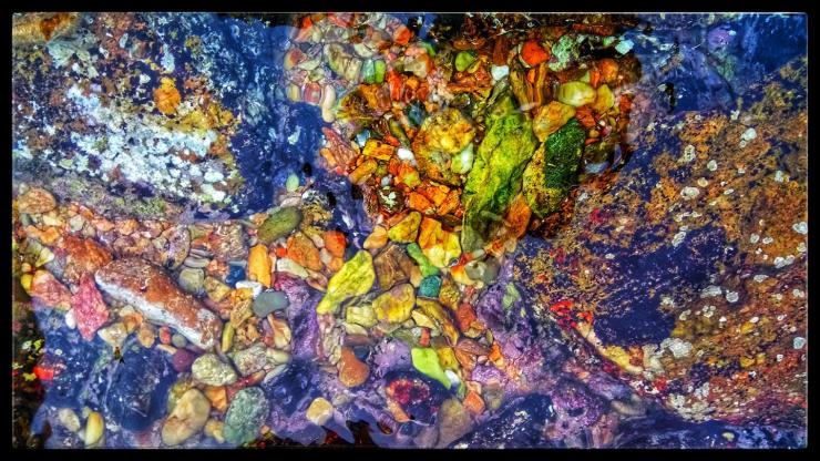 Η φωτογραφία της ημέρας