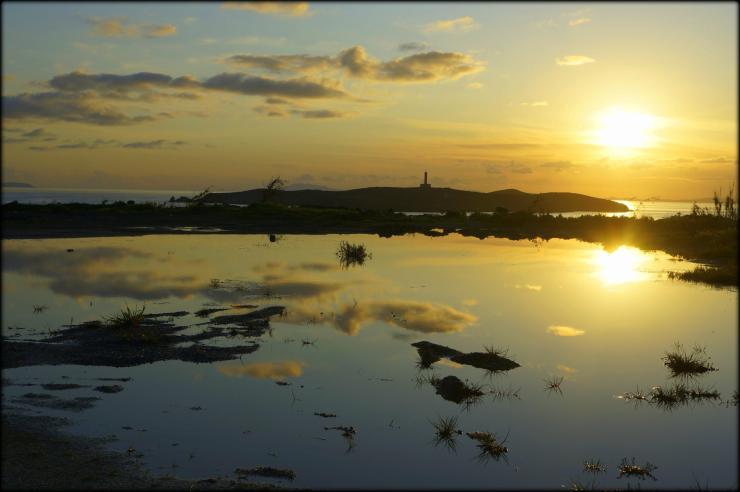 Η φωτογραφία της ημέρας