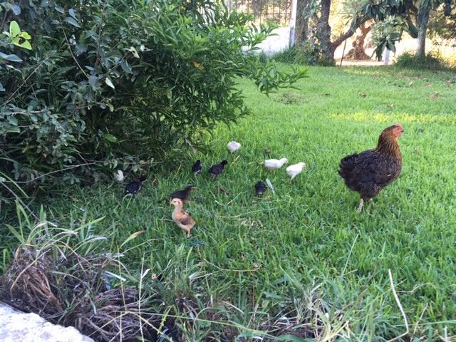 Η φωτογραφία της ημέρας