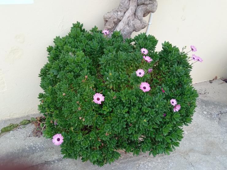 Η φωτογραφία της ημέρας