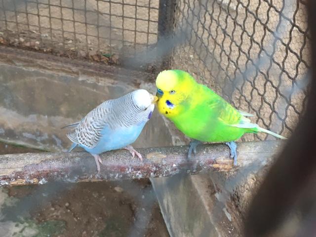 Η φωτογραφία της ημέρας