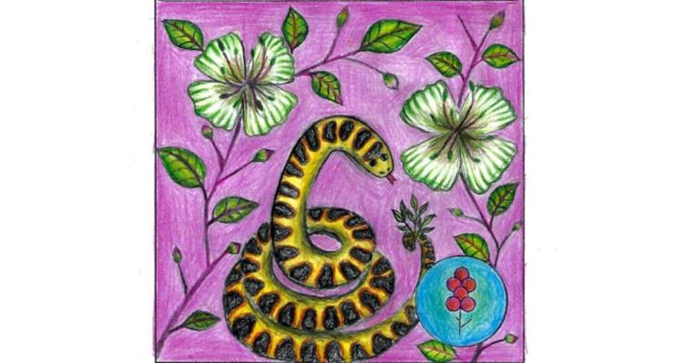 ΕΝ ΧΟΡΔΑΙΣ & ΟΡΓΑΝΟΙΣ: Βραβεία και διακρίσεις σε Συριανές Μαθήτριες