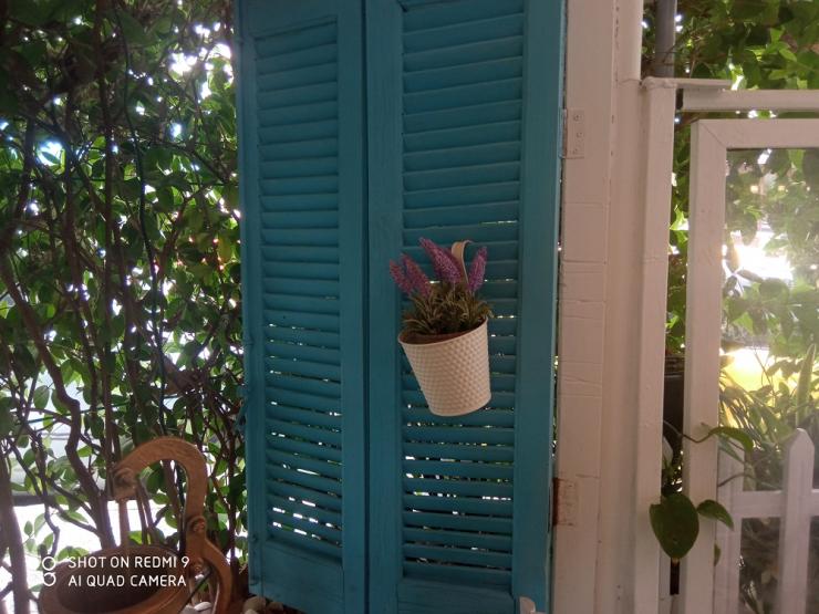 Φωτογραφία της ημέρας