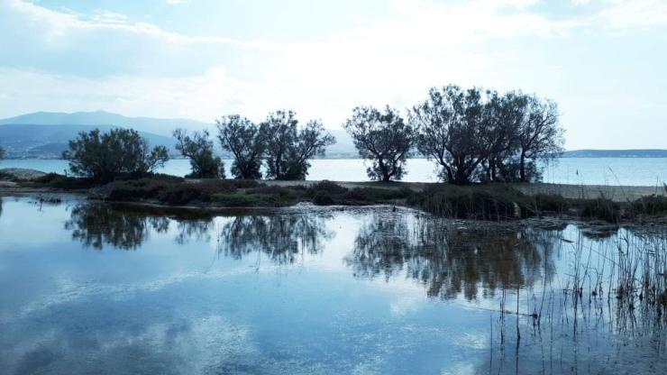 Φωτογραφία της ημέρας