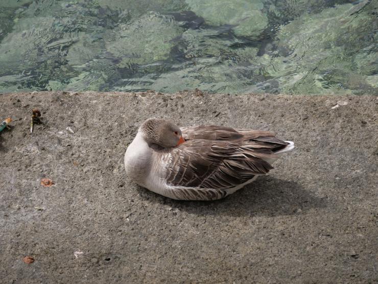 Φωτογραφία της ημέρας