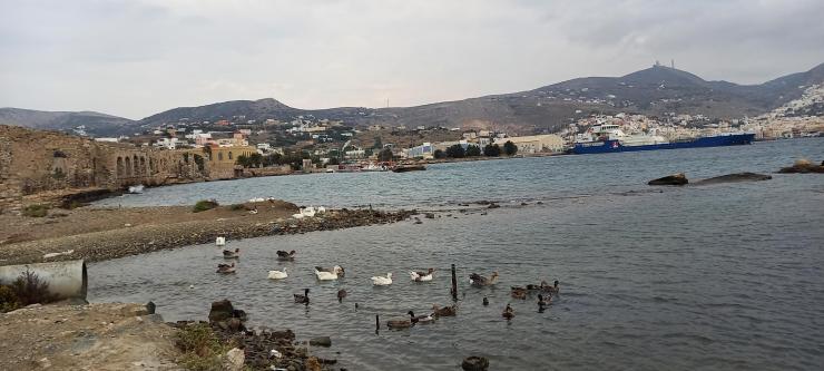 Η φωτογραφία της ημέρας