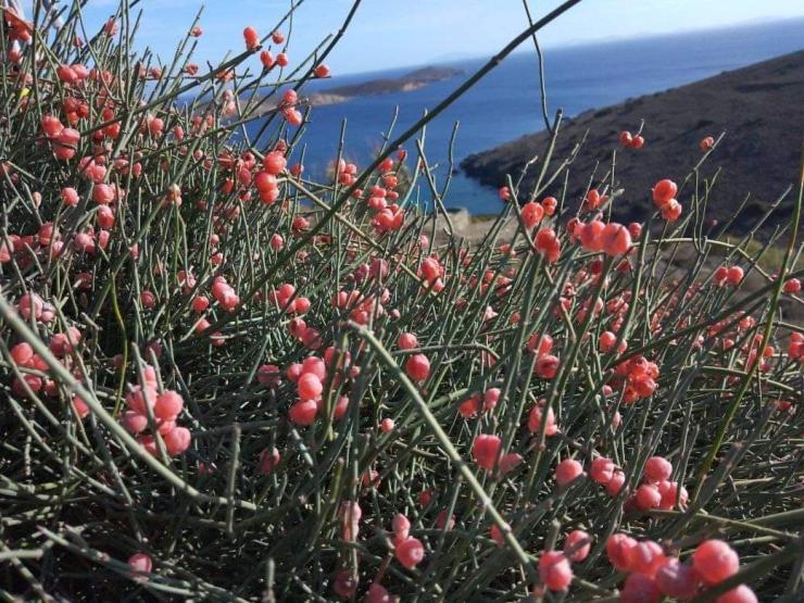 Η φωτογραφία της ημέρας