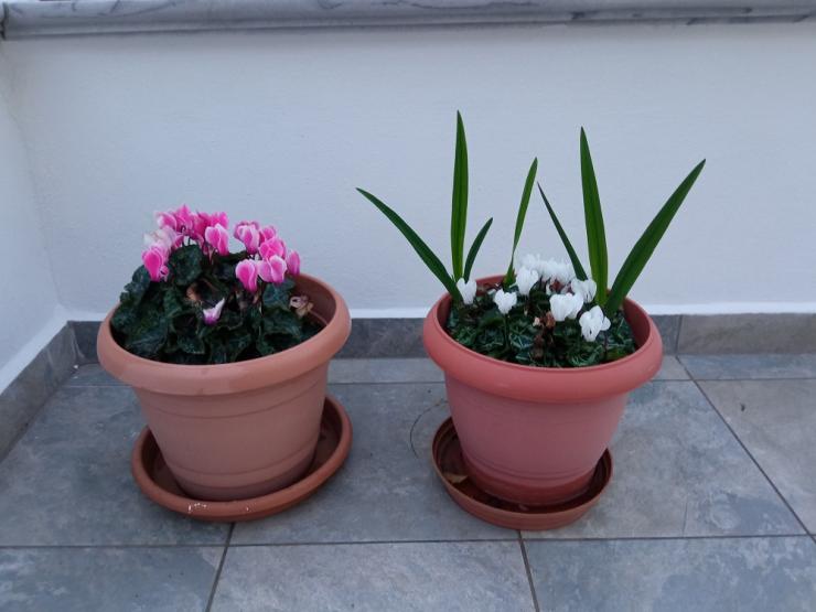 Η φωτογραφία της ημέρας