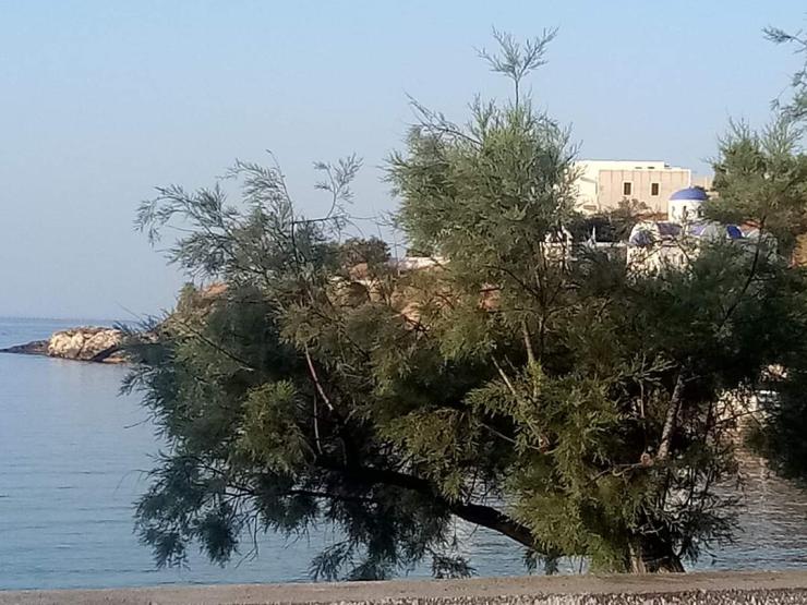 Η φωτογραφία της ημέρας