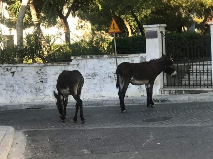 Η φωτογραφία της ημέρας