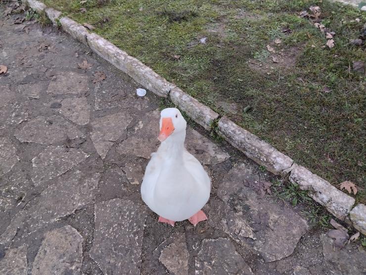 Η φωτογραφία της ημέρας