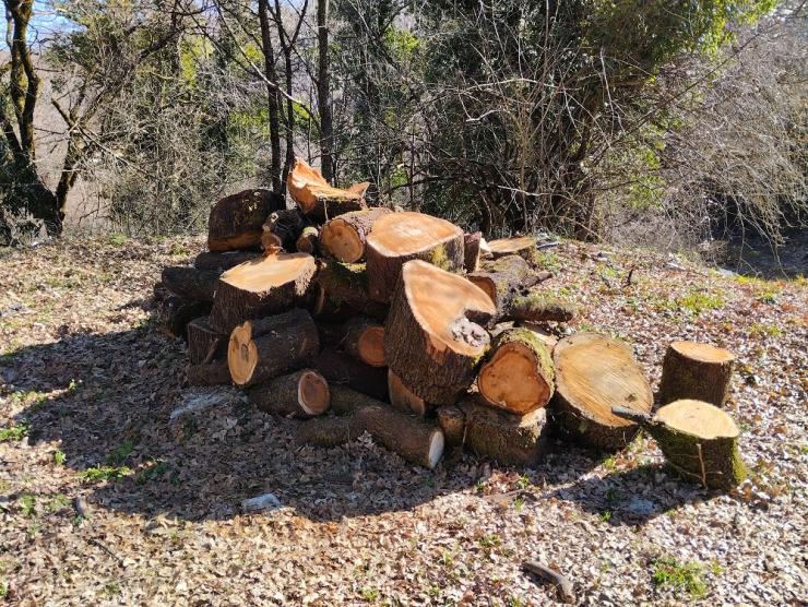 Η φωτογραφία της ημέρας