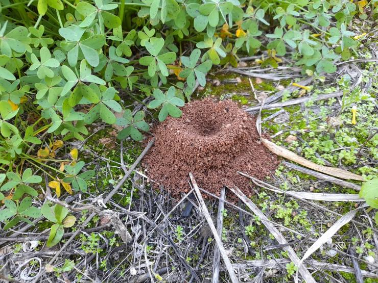 Η φωτογραφία της ημέρας