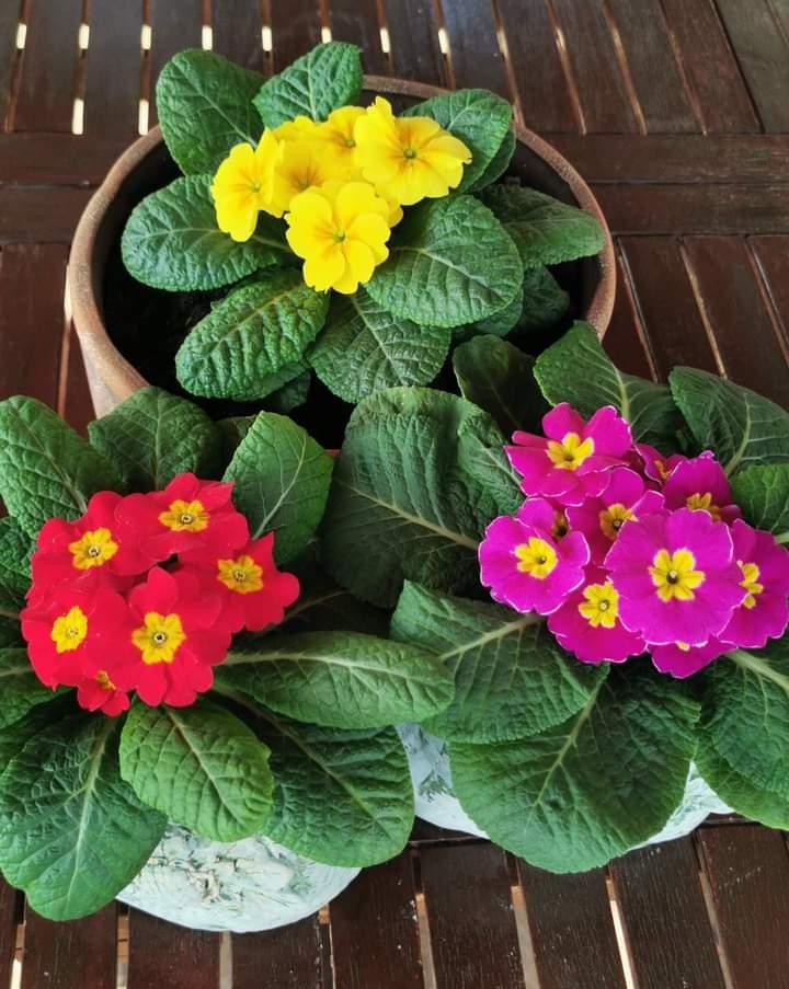 Η φωτογραφία της ημέρας