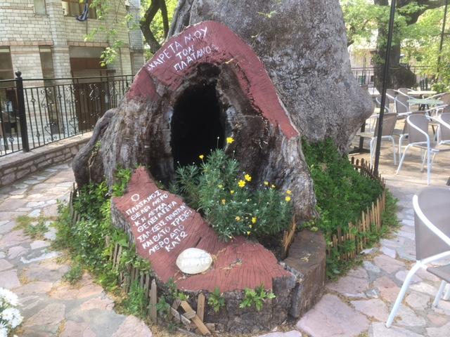 Η φωτογραφία της ημέρας