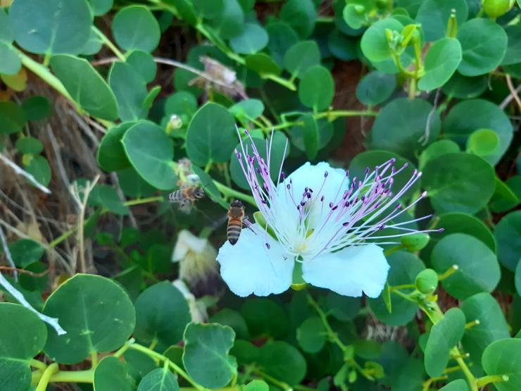 Η φωτογραφία της ημέρας