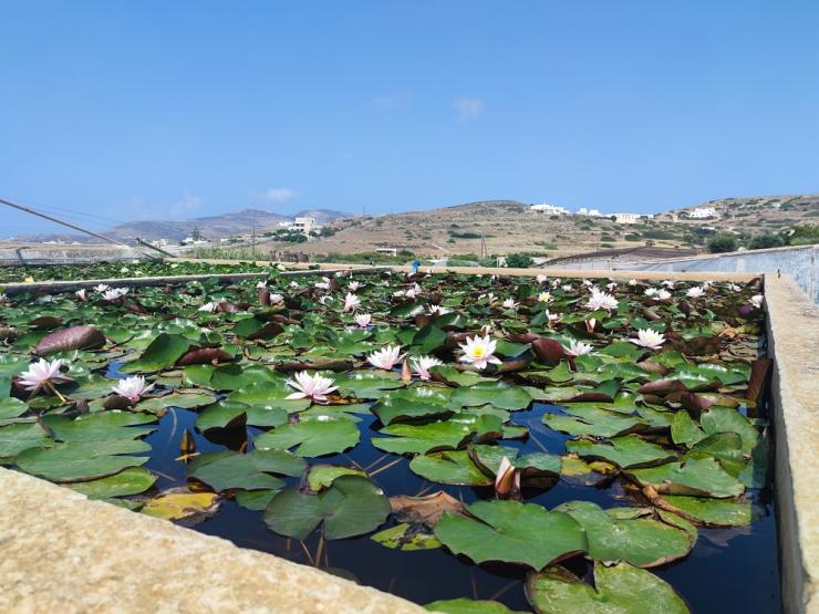 Η φωτογραφία της ημέρας