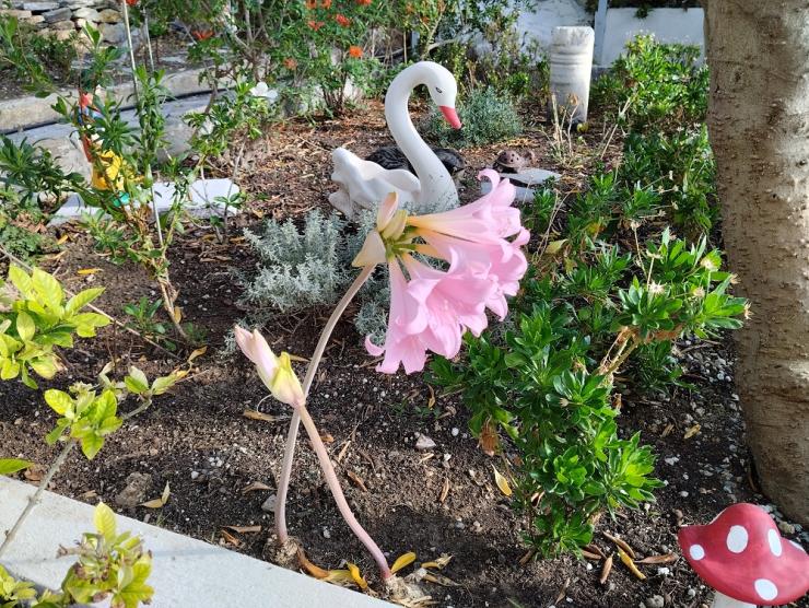 Η φωτογραφία της ημέρας