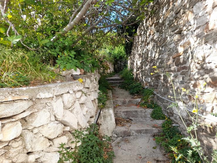 Η φωτογραφία της ημέρας