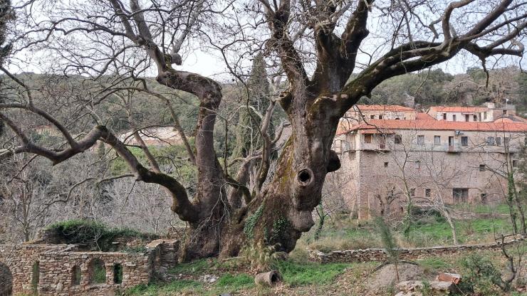 Η φωτογραφία της ημέρας