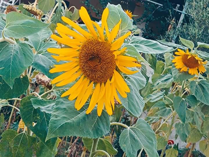 Η φωτογραφία της ημέρας