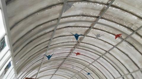 Κλείνουν πάλι τα Γυμνάσια λόγω θόλου 