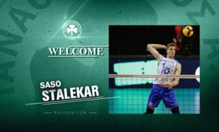 Ανακοίνωσε την απόκτηση του Σάσο Στάλεκαρ ο Παναθηναϊκός 