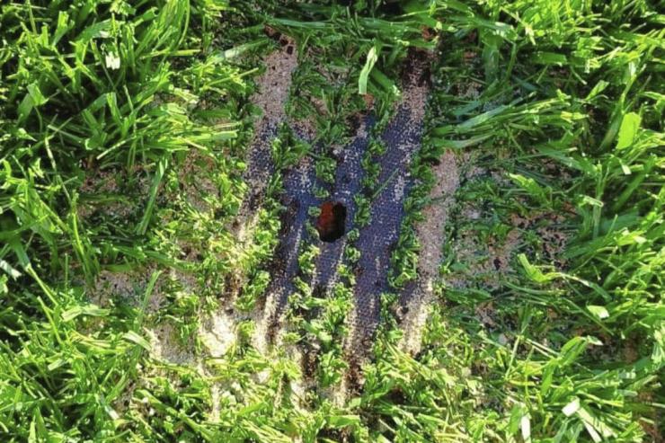 Το γήπεδο Πάγου το τρώνε τα… μυρμήγκια 