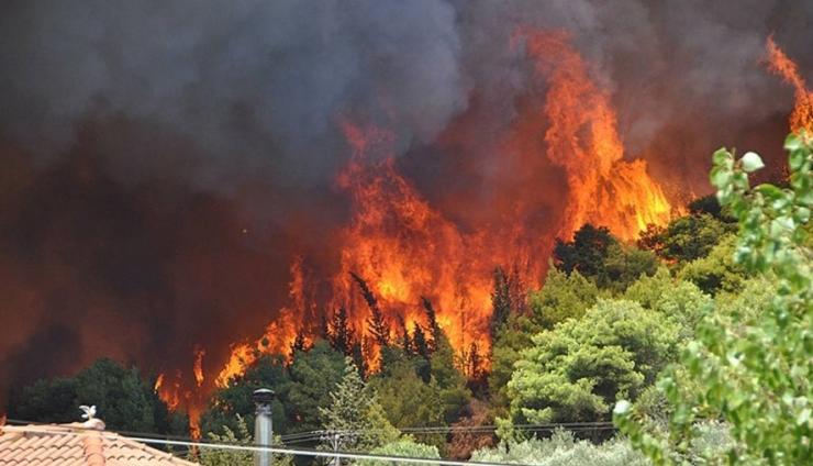 «Οι εμπρηστές των δασών και οι ηθικοί αυτουργοί της καταστροφής»