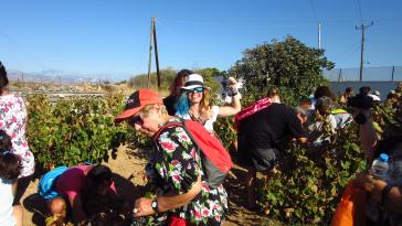 Με επιτυχία ολοκληρώθηκαν οι Οινικές Διαδρομές Πάρου 