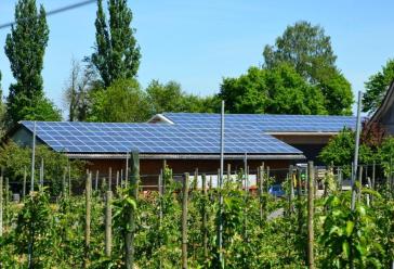 Αναπτυξιακή διαδικασία κι αλληλέγγυα οικονομία 