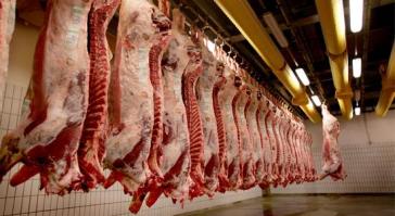 Έκτακτα μέτρα για τα δημοτικά σφαγεία Άνδρου 