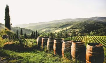 Διαδραστική διημερίδα του Συλλόγου Γυναικών Νάουσας Πάρου: "Οινικές Διαδρομές Παρίων"