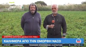 ΕΑΣ Νάξου: Τα προβλήματα των παραγωγών στο Mega Σαββατοκύριακο