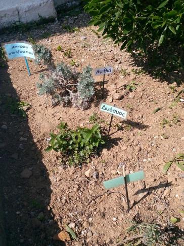 Μικροί οικολόγοι